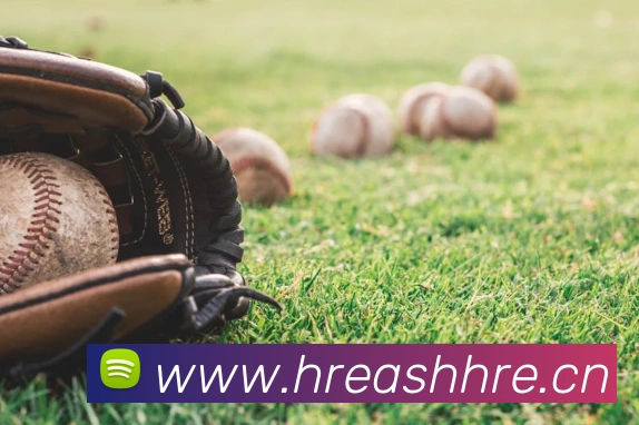 mksports在线登录入口平台生态图